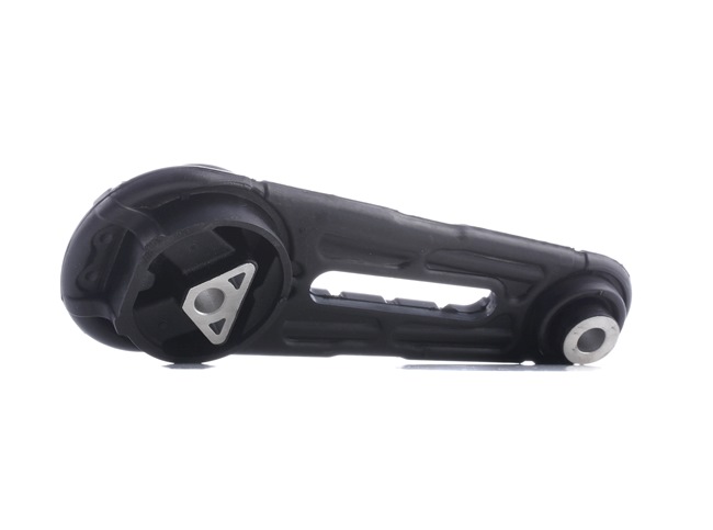 RIDEX 247E0549 Suporte, motor
