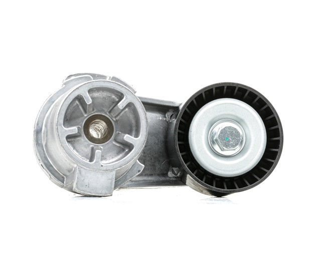 RIDEX 310T0377 Spännrulle, aggregatrem