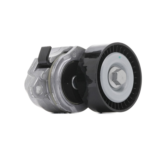 Spannrolle, Keilrippenriemen 310T0382 RIDEX 17540-54L00 310T0382 Spannrolle, Keilrippenriemen RIDEX 1754054L00 VW