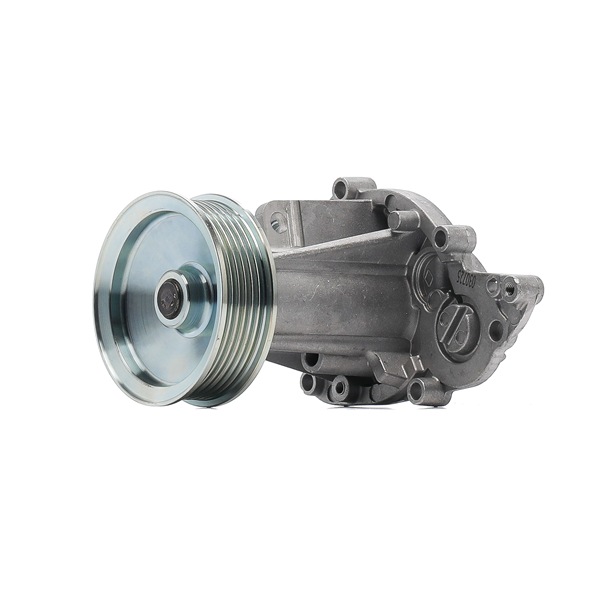 DOLZ S294 Pompa wodna