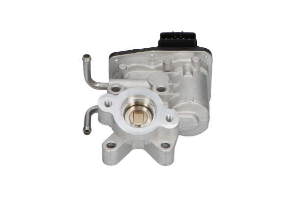 KAVO PARTS EEG-8003 EGR-ventil