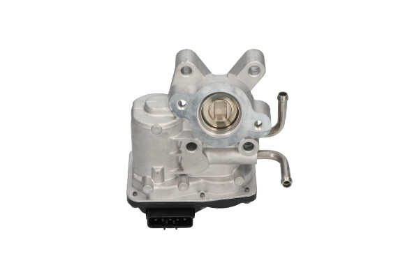 KAVO PARTS EEG-8005 AGR-szelep