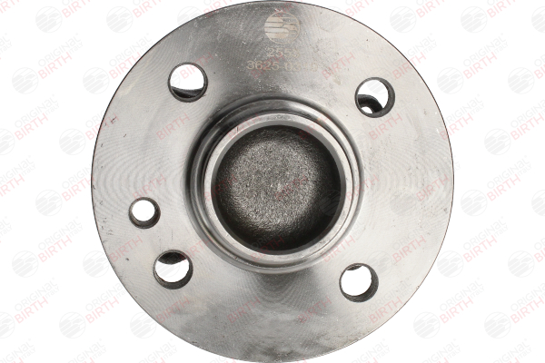 BIRTH 3625 Radnabe Mini R56 1.6 Cooper 122 PS Benzin Kosten