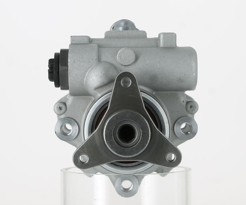 Servopumpe 131263 CEVAM 95 50 9206 Servopumpe 131263 CEVAM 95509206 NISSAN