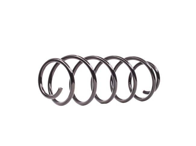 cena Atsperes RENAULT 813065 DACO Germany