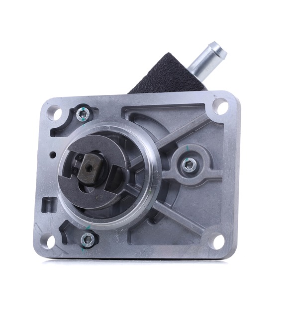 RIDEX Αντλία κενού FIAT 387V0080