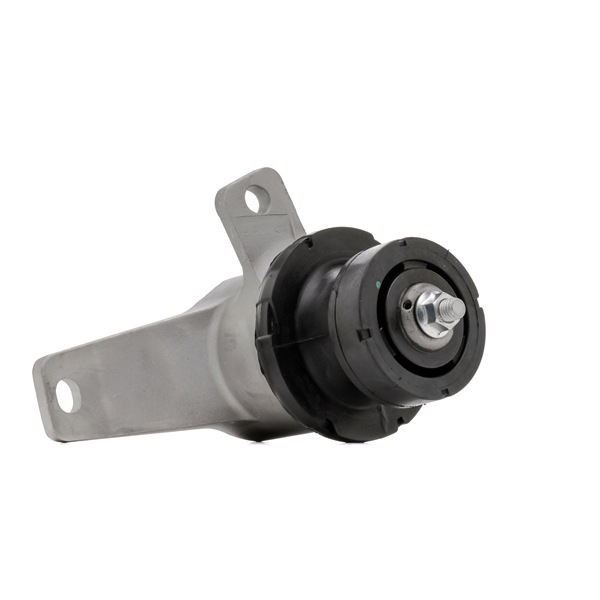 RIDEX 247E0572 Felfüggesztés, motor