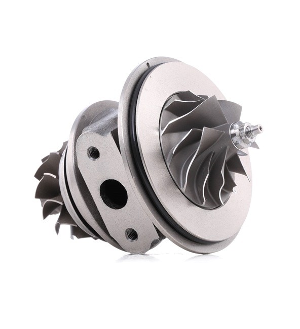 RIDEX 4973C0080 Cartouche turbo