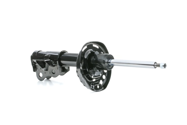 RIDEX 854S17923 Shock absorber