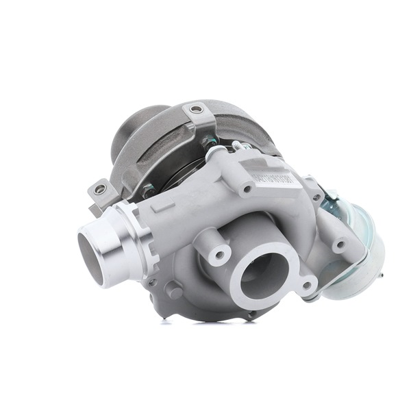 RIDEX 2234C10154 Turbo Renault Scenic 3 1.5 dCi (JZ02, JZ0R) 95 cv Diesel preço