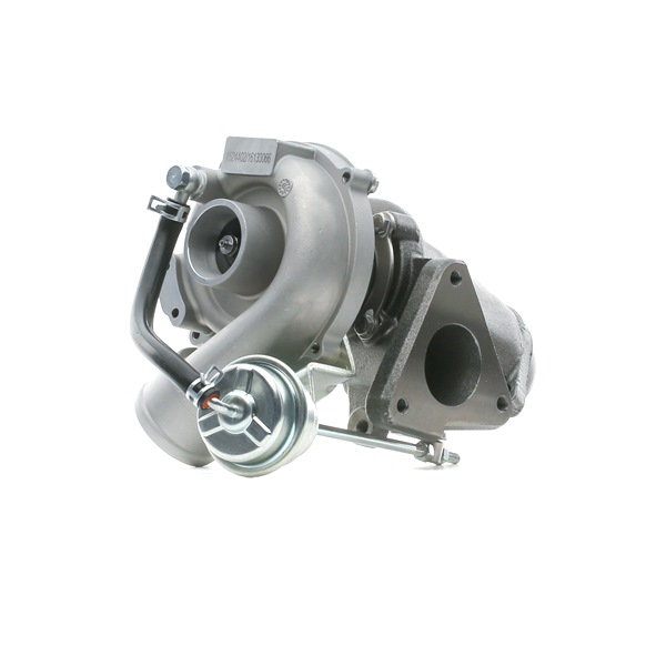 RIDEX 2234C10163 Turbolader