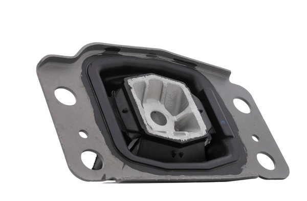 RIDEX 247E0598 Support moteur