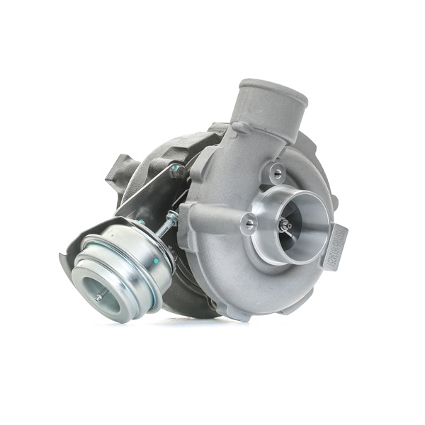 Turbocharger 2234C10171 RIDEX 11657781434 Volkswagen
