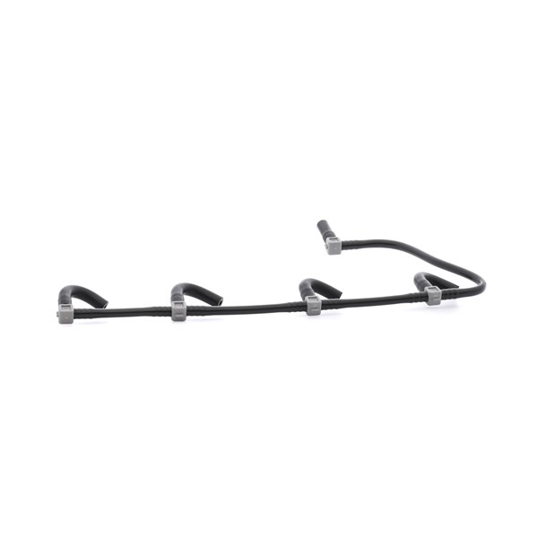 STARK SKHFO-3370029 Kraftstoffverteiler Renault Clio 2 1.5 dCi 57 PS Diesel Kosten