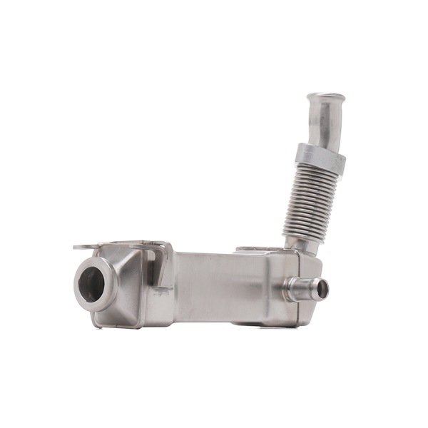 EGR modulis 4198E0023 RIDEX 11 71 7 790 065 EGR dzesētājs 4198E0023 RIDEX 11717790065 BMW