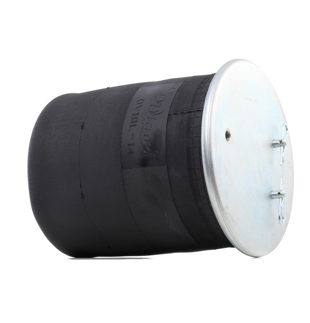 RIDEX 4119A0064 Ressort pneumatique