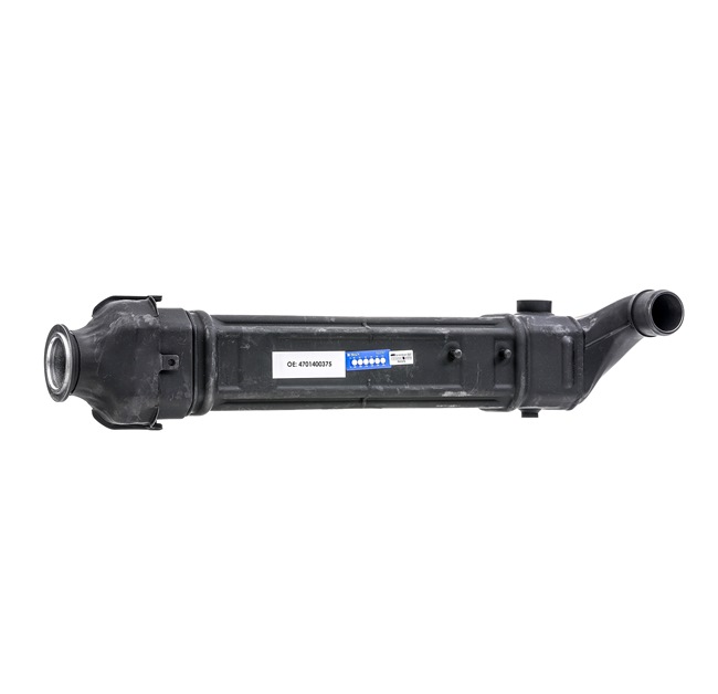 Modulo EGR 4198E0048R RIDEX REMAN 470 140 03 75 MERCEDES-BENZ
