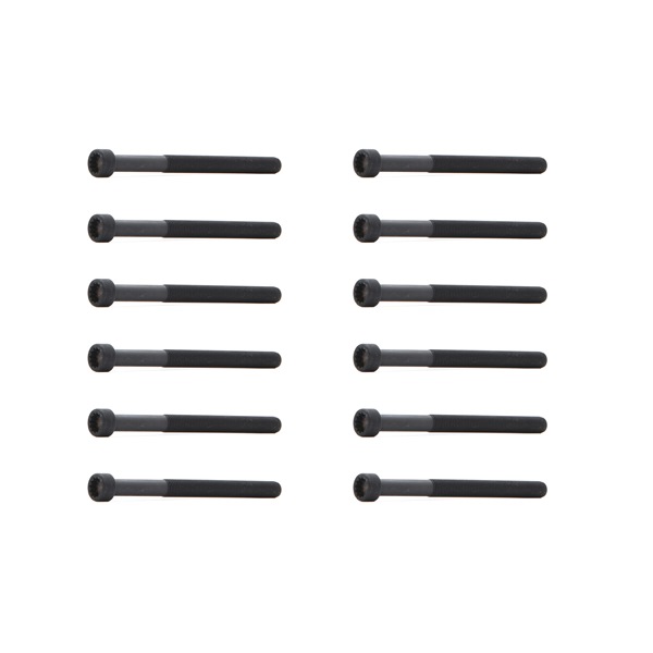 1217B0125 RIDEX topplocksbultar