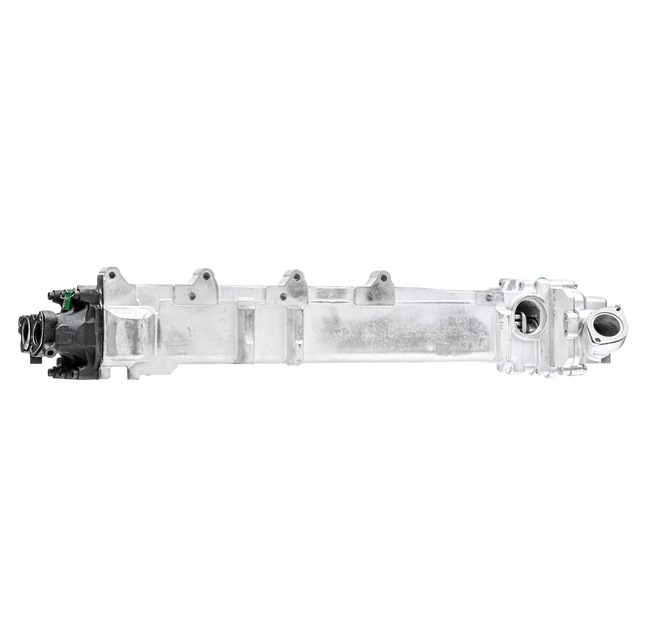 RIDEX REMAN 4198E0050R Module-EGR