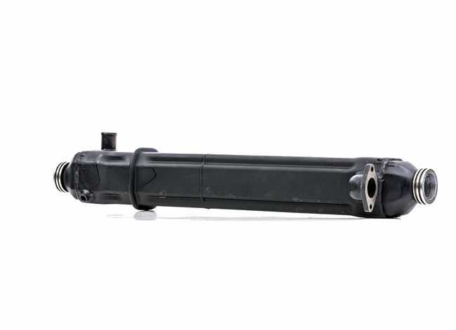 RIDEX REMAN 4198E0053R Moduł EGR