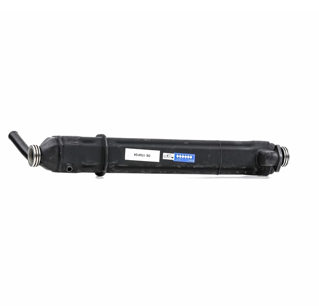 RIDEX REMAN 4198E0054R Moduł EGR