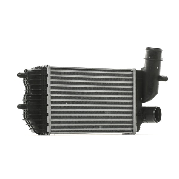 RIDEX 468I0163 Ladeluftkühler