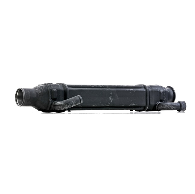 RIDEX REMAN 4198E0055R Module-EGR