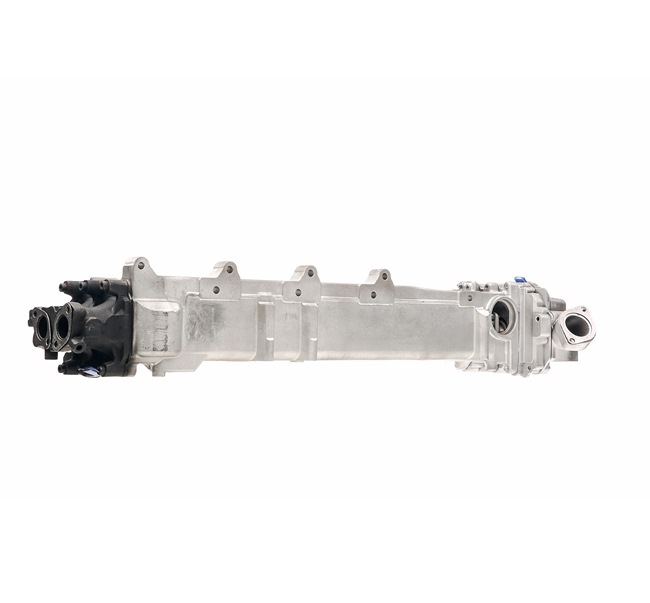 RIDEX REMAN 4198E0056R Module-EGR