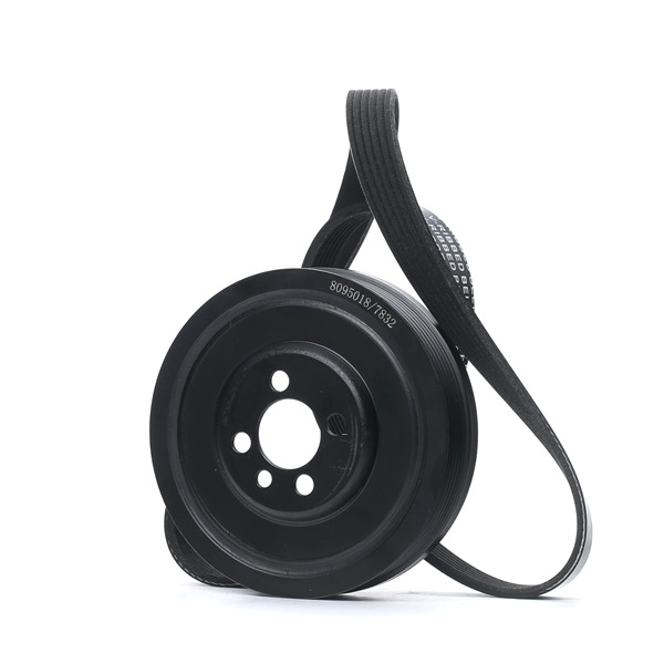 Drivremssats 542R0575 RIDEX 03 G10 5243 VW