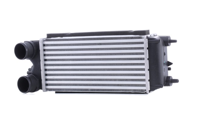 STARK SKICC-0890301 Radiateur de turbo Ford B-Max JK 1.6 TDCi 95 CV Diesel 2025