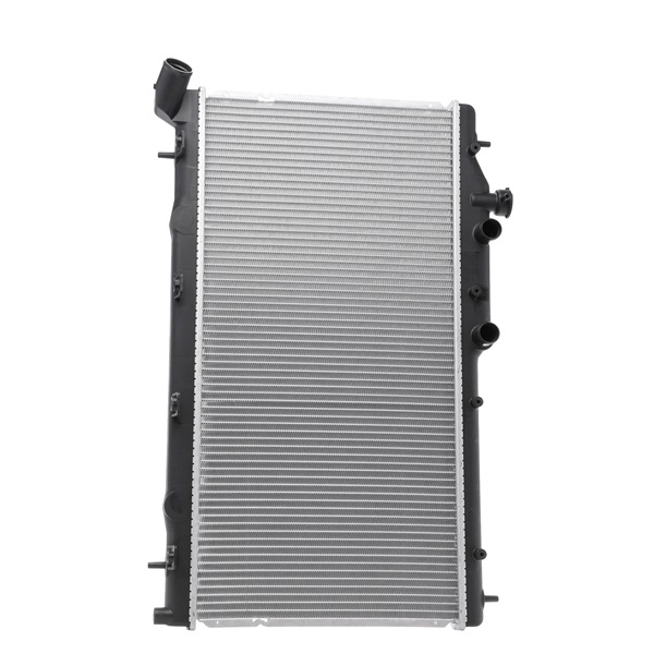 RIDEX 470R1004 Radiateur du moteur