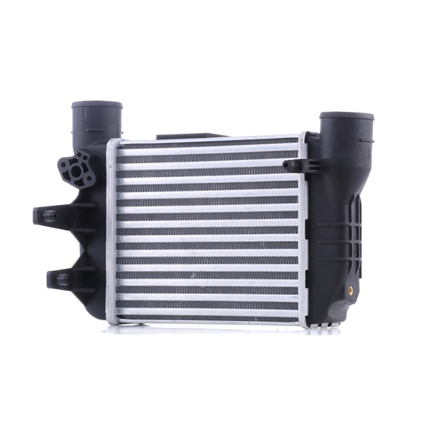 RIDEX 468I0303 Ladeluftkühler Audi A4 B6 1.8 T quattro 150 PS Benzin Kosten