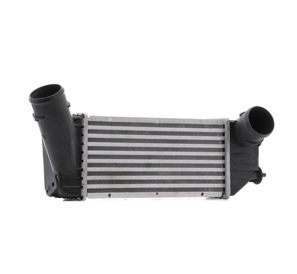 RIDEX 468I0325 Intercooler
