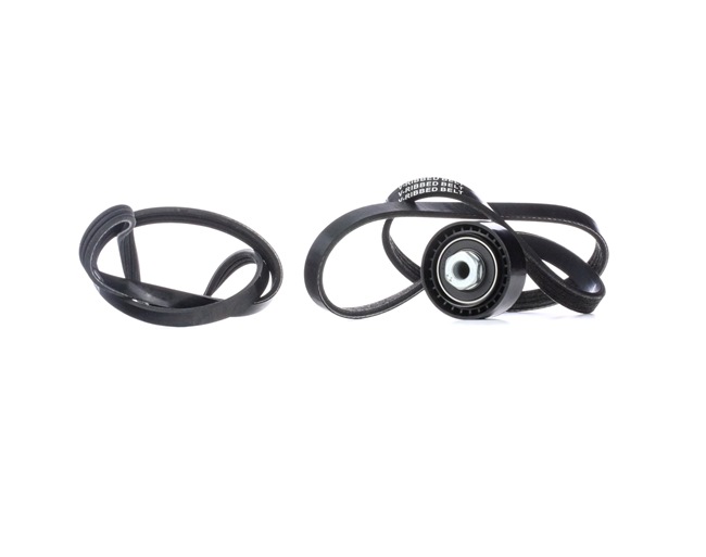 RIDEX 542R0583 Multiriem set Renault Clio 2 1.2 (BB0A, BB0F, BB10, BB1K, BB28, BB2D, BB2H, CB0A,... 58 Pk Benzine prijs