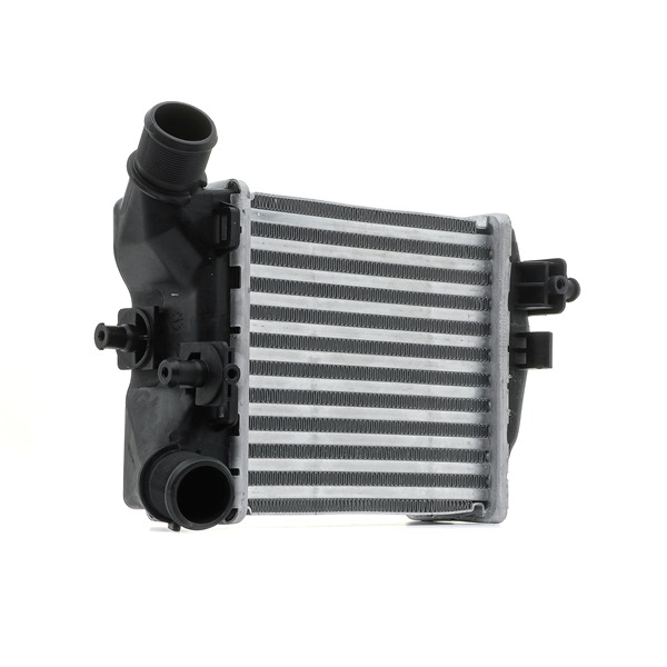 STARK SKICC-0890453 LLK Abarth 500С Cabrio 1.4 (312.AXY1A, 312.AXY11) 145 PS Benzin Kosten