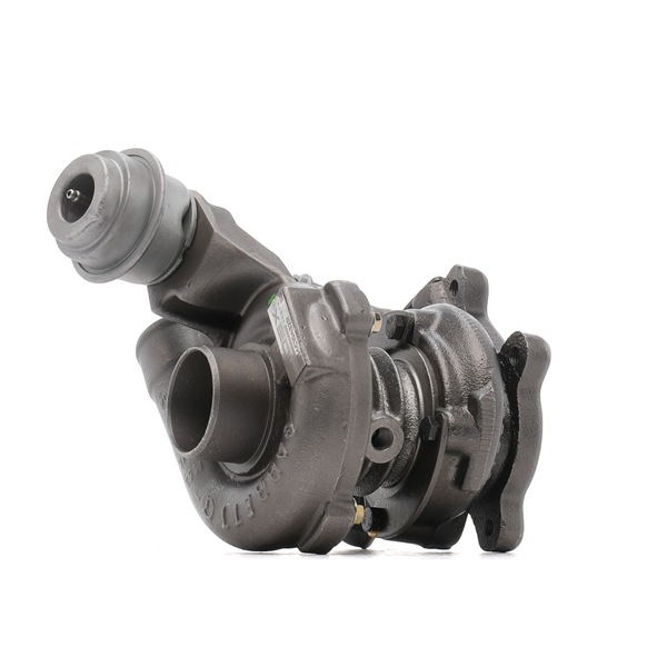 Online Shop: Turbo RIDEX REMAN 2234C10432R
