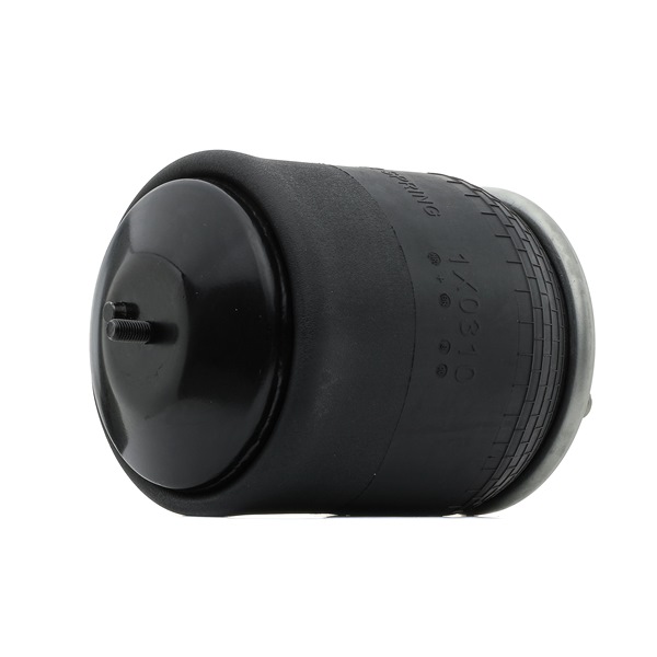 RIDEX 4119A0079 Ressort pneumatique