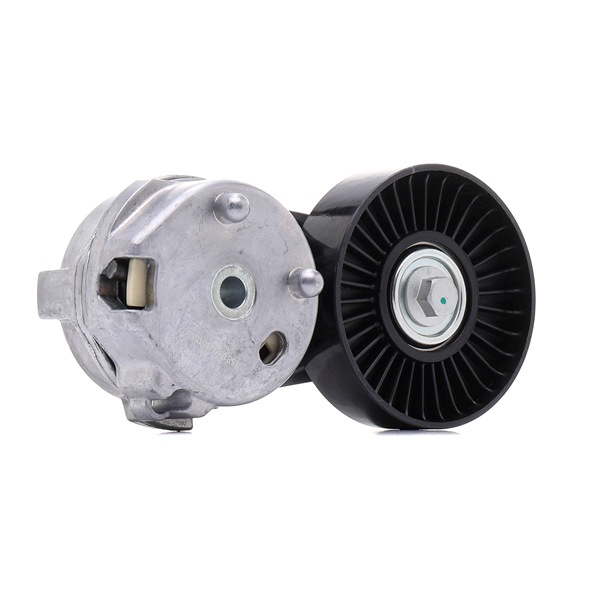 310T0410 RIDEX Strammehjul, kilerem Land Rover billig