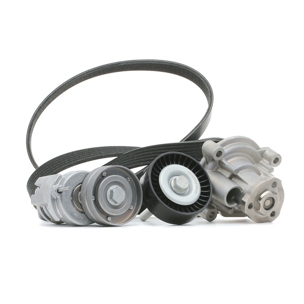 Water Pump + V-Ribbed Belt Kit 4172P0055 RIDEX 03C121005LX+ HONDA