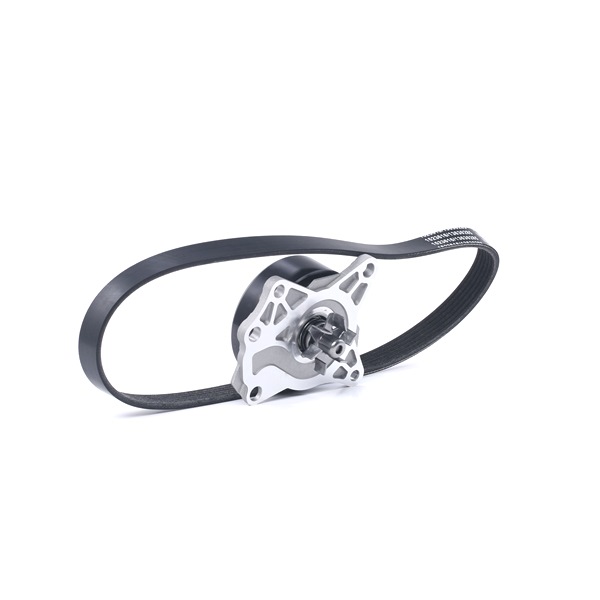 RIDEX Vodné čerpadlo + sada klinového remeňa 4172P0058 4172P0058 RIDEX Sada klinového rebrovaného remena Jaguar lacné