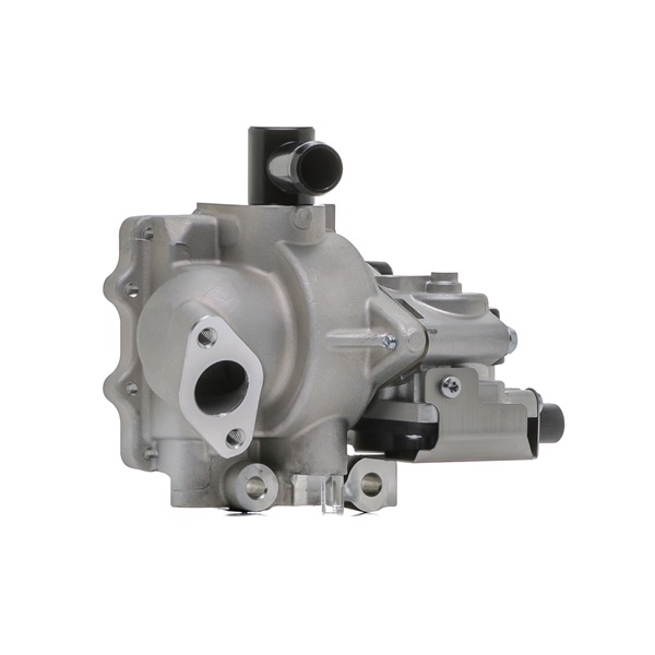 RIDEX 4198E0065 EGR module