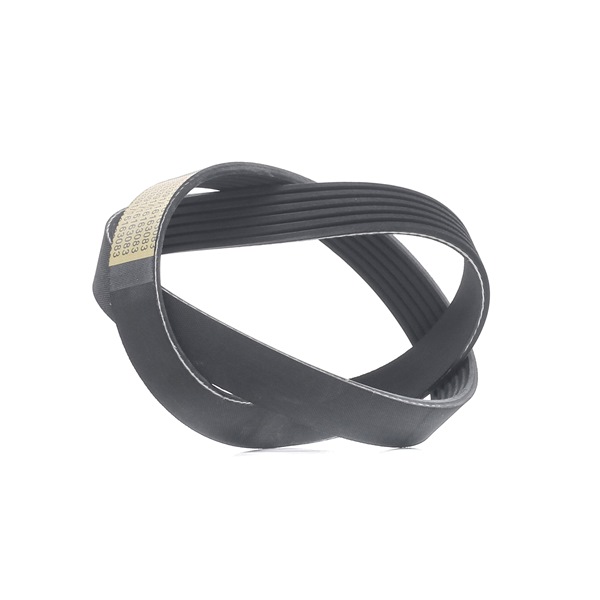 Kilerem 305P0487 RIDEX 3473196 VW