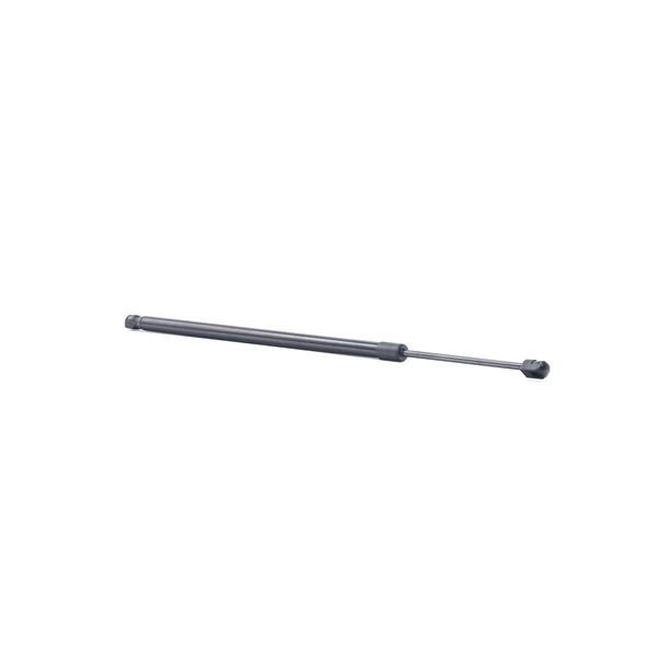 RIDEX 219G0980 Vérin de coffre