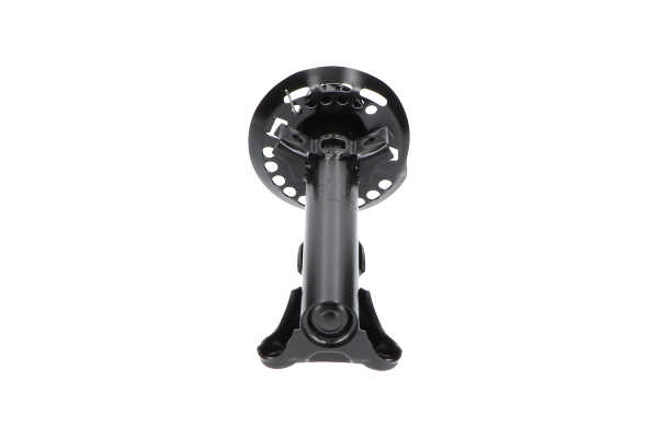 KAVO PARTS SSA-10291 Stoßdämpfer