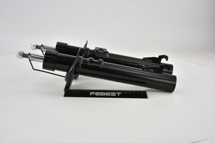 FEBEST 21110-008F-KIT Dämpfer Ford Fiesta Mk5 Limousine 1.6 98 PS Benzin Kosten