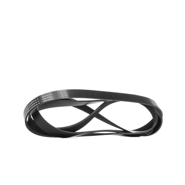 Courroie Poly-V 305P0488 RIDEX YC1E 6C301 DB RENAULT