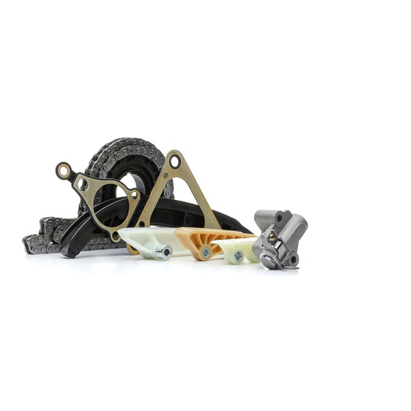 RIDEX 1389T2550 Timing chain kit