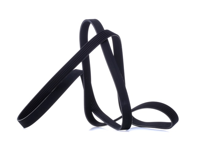 RIDEX 305P0490 Courroie Poly-V