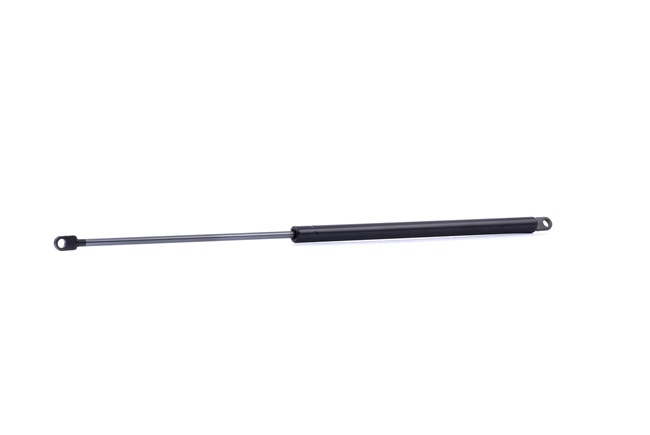 RIDEX 219G0985 Tailgate strut