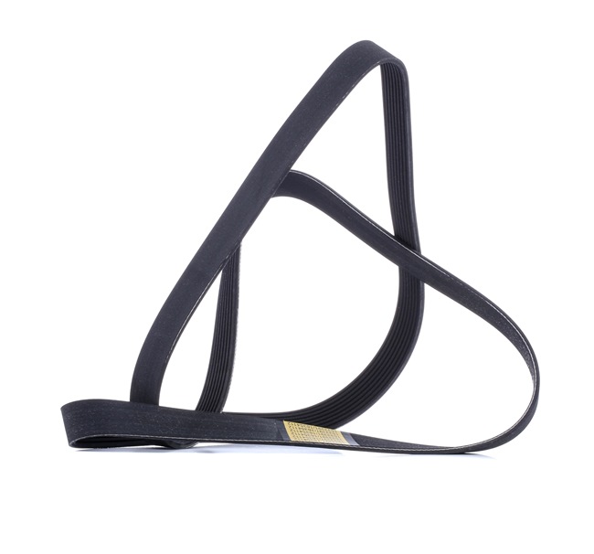 RIDEX 305P0491 Courroie Poly-V